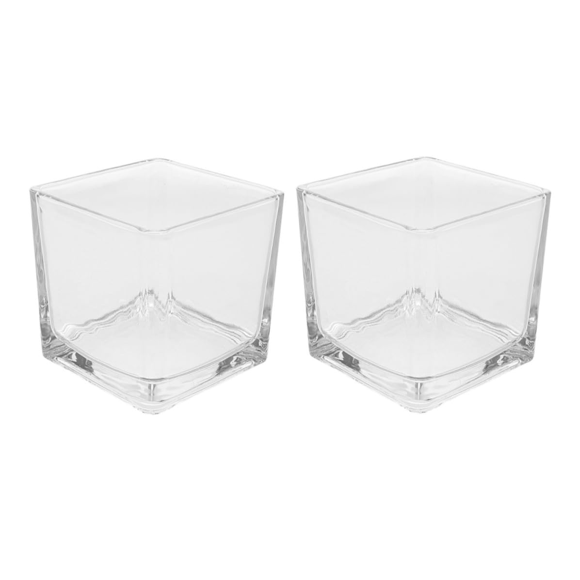 Vases carrés en verre transparent lot de 2 pour fleurs et bureau