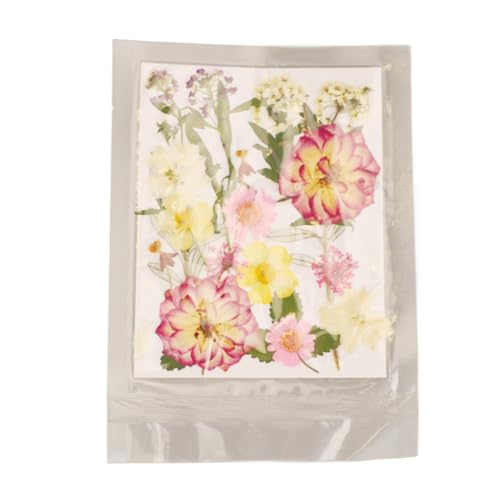 Flores prensadas secas assorted para manualidades y decoración miniatura 7