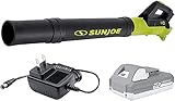 Sun Joe 24V-TB-LTE-RM 24-Volt Cordless Compact Turbine Jet Blower, Kit (w/2.0-Ah Battery + Quick...