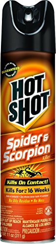 Hot Shot 2-Pack Spider & Scorpion Killer