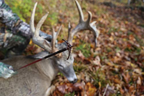 Rage Hypodermic Nc +P 2-Blade Broadhead (3 Pack) With No Collar Blade Lock, Hybrid Tip, Machined Stainless Steel Ferrule For Aerodynamic Flight.035 Blades, 1.75" Cutting Diameter, 100 Or 125 Grain #TOP4