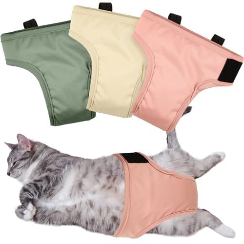 Diapers for Cats The 15 best products compared Wild Explained