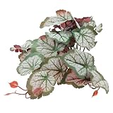 UTHCLO 爬虫類テラリウム用リアル樹脂製人工植物 隠れ家として機能する耐久性のある装飾品 魅力的な陸ガメ トカゲ ヘビ水槽インテリア