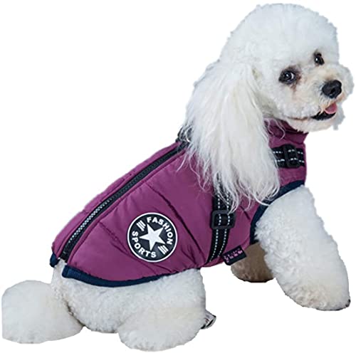 IGUGHI ӂӂ _ExXgWPbg m ~ {A  WPbg p[J[ Ȃ hbOEFA h h [hO ȕAE^[ o U ^ ^ (3XL, p[v)