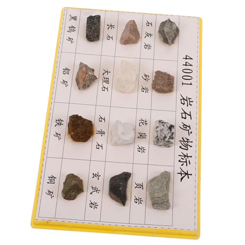 GARVALON 12 Pcs Rock Specimen Set Student Sicorss Labrynths Features Showses Display Mineral Rock Specimen Rock Specimen for Laboratory Mineral Rock Kit Rock Specimen for Collecting Plastic
