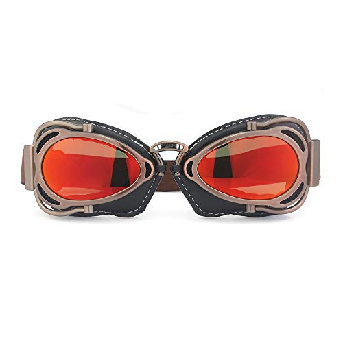 Heinmo Retro Pilot Goggles