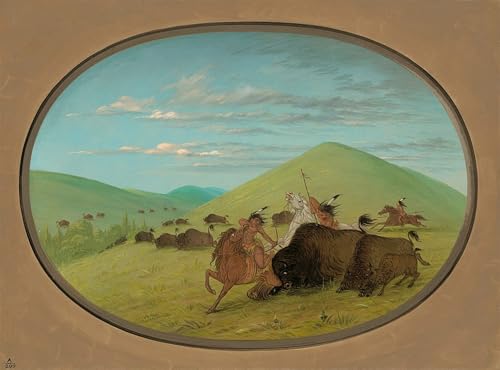 Peinture murale animal George Catlin affiche salon 60x90