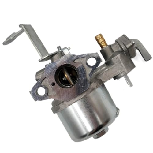Carburateur de précision 796447 pour moteur 122332 haute durabilité