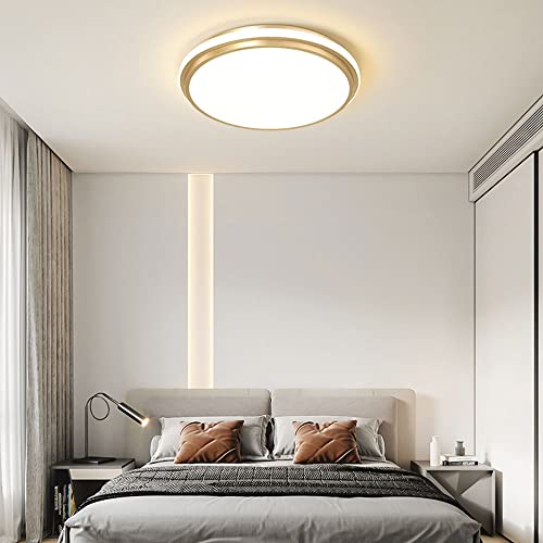 Énergie intérieure LED et plafonnier encastré pour maison - 4