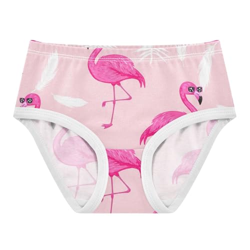 Fun Toddler Underwear Floral 2t Cotton Panties Little Girl Cute Pink Flamingos Feathers Undies Kids Briefs