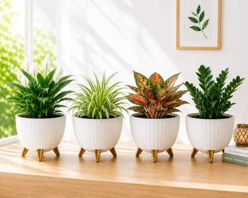 Image of Xmart India 7 Inch Decorative Plant Pot for Indoor & Outdoor Plants | Planter Pot with Stand & Legs |Ribbed Flower Pot for Home, Balcony, Garden, Living Room & Office | Plant Container (2, White)