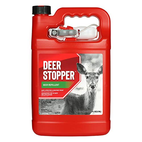 The Best Deer Spray Top 11 Picks in 2022