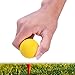 VANZACK Practice Golf Balls Flexible Practice Balls PU Golfballs Indoor Outdoor Training Ball, 6 Pieces