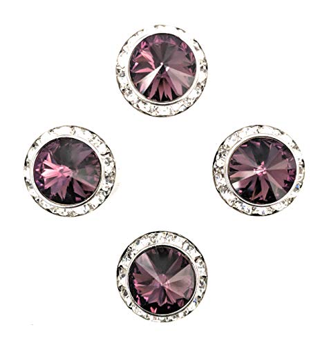 In Gate Impressions Amethyst Jumbo Magnetic Number pins Horse Show Number Magnet Holder Rivoli Crystals