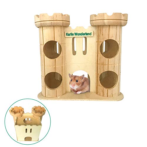 syrian hamster playground