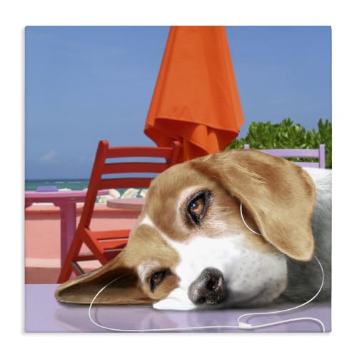 'Tired Dog Laying Music Headphones Summer Beach'| Canvas Art