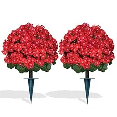 Red Crabapple Blossoms