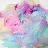 chamarras de pluma de ganso vaqueras [Exquisito y hermoso] El color de cada pluma es ligero y elegante, el color es suave y hermoso y el color es diferente. Cada color tiene un estilo romántico diferente.