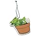 Mint Dragon Tree Air Freshener (Mint Scent), Hanging Scents, Car Frangrance Decor