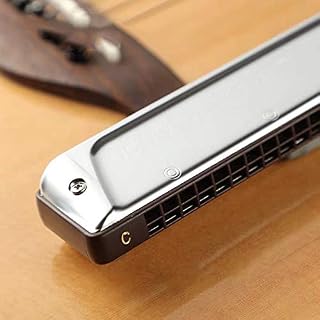 KIRANDIE Harmonica C 24 Trous Bronze Harpe Phosphore Roseaux ABS Comb Instruments de Musique Professionnels (Color… - Les Beatles, Paul McCartney, John Lennon, RIngo Starr, George Harrison KIRANDIE Harmonica C 24 Trous Bronze Harpe Phosphore Roseaux ABS Comb Instruments de Musique Professionnels (Color… – Image 5