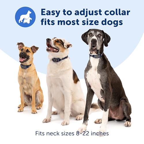PetSafe Core Digital Dog Bark Collar - image 5