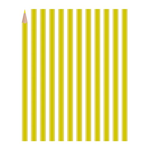 Crayons de marquage universels Carmel jaunes solubles dans l'eau pour verre et film | Lot de 12