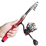 Portable 4.9Ft Telescopic Small Short Fishing Rod and Spinning Reel Combos, Shrink 13in Fishing Pole for All Season Fishing in Rivers, Lakes, Rafts, etc.