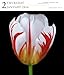 Flowers 2014 Gallery Calendar