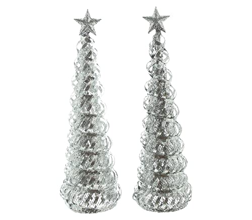 Weihnachtsdeko Silber 16 FRANK FLECHTWAREN Tanne Silbersternchen, 2er Set, Dekotanne,...