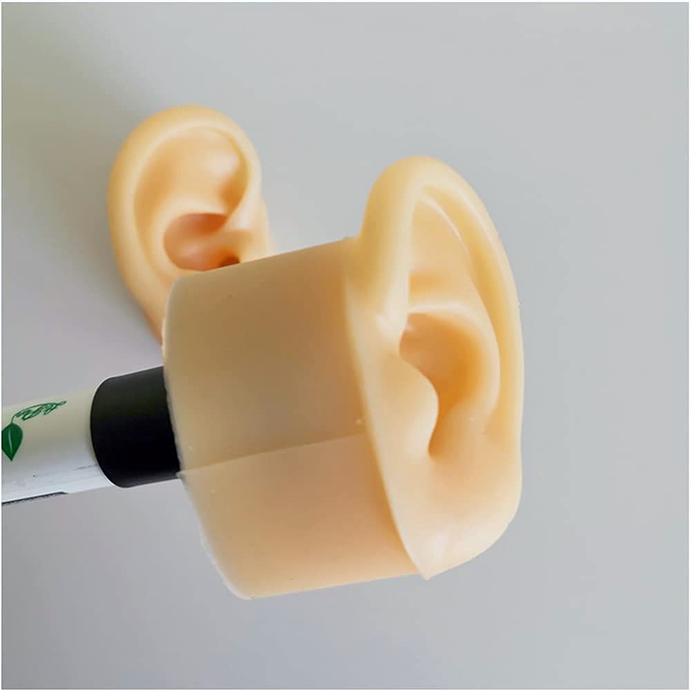 Modello Di Orecchio In Silicone - Simulazione Parte Del Corpo Umano Modello In Silicone Modello Di Orecchio Artificiale - 1:1 Modello Di Orecchio Umano Simulazione Display Puntelli Strumento Didatti