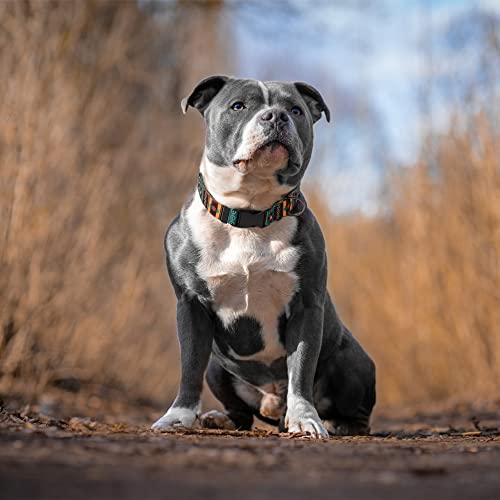 Southwest Dog Collar Tribal Pattern Adjustable Puppy Pet Collars For Small Medium Large Dogs Aztec Print (Tribal, Neck Fit 10"-13") #TOP6