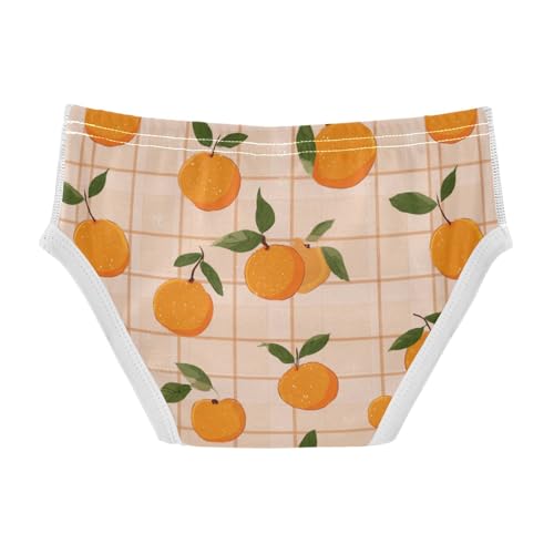 Wusikd Orange Fruit Checkered Boys' Underwear Cotton Boys Briefs Soft Toddler Underwear 2T2