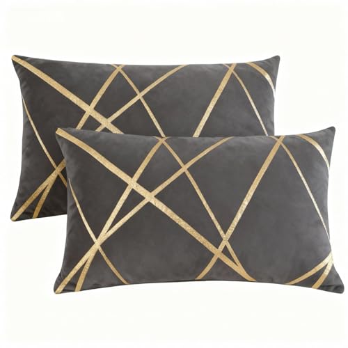 Miuyunya Housse Coussin 30x50 Motif Gris Velours Coussin Decoratif Canape Moderne Aesthetic Taie d'oreiller Lignes Dorées Boheme Vintage Decoration pour...