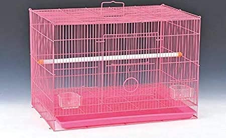 CENTRAL FISH AQUARIUM Metal 18" Bird Cage For Budgies,Finches,Love Birds,Cocktails,Conures,Cuttlefish Bone Holder,With Cuttlefish Bone, 2 Cups, 1 Perch Stick L : 18", B : 13", H:13" (Colors May Vary) (B096VHCTZR) Amazon Price History, Amazon Price Tracker