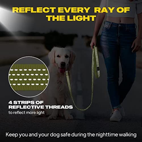 Fida Reflective Dog Leash, 6Ft Nylon Dog Leashes For Small/Medium/Large Dogs, High Visibility Dog Leash With Metal Clasp For Daily Walking (Upgraded Reflective Stitching，Neon Yellow) #TOP4