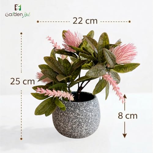 Image of Garden Art Artificial Protea Flower Arrangement in Decorative Dotted Pot - Realistic Faux Pink Protea Plant for Home, Office, Table & Shelf Decoration (P-0235Pink)