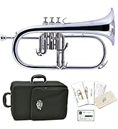 Amazon | Jマイケル FH-850 吹奏楽やオーケストラに最適なフルダブル