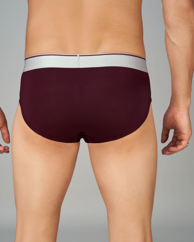 Image of TRENDMALLS Men's Birla Micromodal Regular Fit Solid Men Underwear Briefs with No Marks Waistband