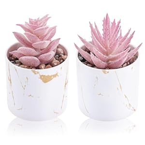 Der Rose Set of 2 Succulents Plants Artificial Mini Fake Succulents Plants for Office Desk Accessories for Women Pink Home Vanity Decor