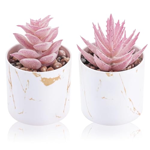 Der Rose Set of 2 Succulents Plants Artificial Mini Fake Succulents Plants for Office Desk Accessories for Women Pink Home Vanity Decor 2-pink