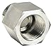 Parker 16-3/4 F5OG-S Female Pipe Adapter