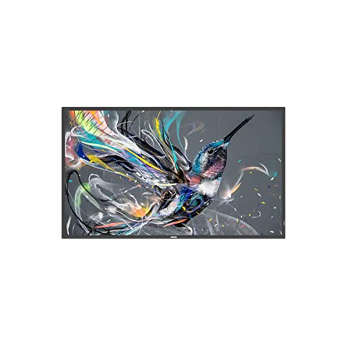 PHILIPS MONITOR PUBLIC 43 43BDL3511Q/00 Q-LINE 43' Q-LINE, 18/7, 4K UHD, BASIC FAILOVER,