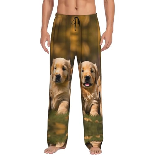Pantalon de pyjama Golden Retriever pour cocooning homme XXL EdWal