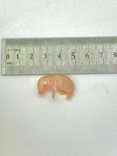 Ⓚ}EX 20C sNS sN}EX Y io[NPbg wr Ⓚa