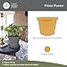 The HC Companies Prima Round Plastic Plant Pot w/Rolled Rim - Lightweight & UV Resistant Flower Pot for Herbs & More - Outdoor & Indoor Plant Pots w/Drainage (12 inch, Honey, Pack of 1)