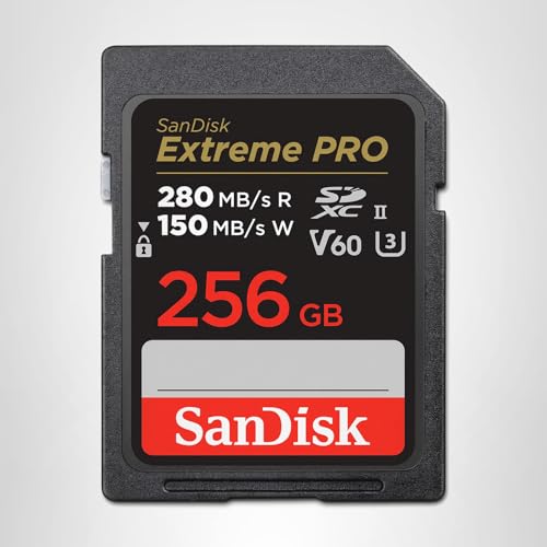 SanDisk Extreme PRO V60 256GB