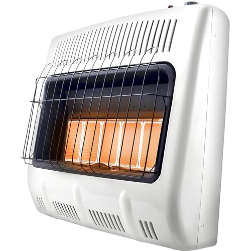 30,000 BTU Vent Free Radiant Dual Fuel Heater