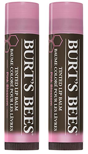 Burt's Bees 100% Natural Tinted Lip Balm, 2 Count (Pack of 1)