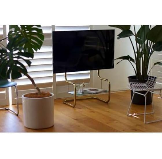 新品未開封 チャプリン作品集 ライムライト VHS 新品未開封 チャプリン作品集 ライムライト VHS 新品未開封 チャプリン