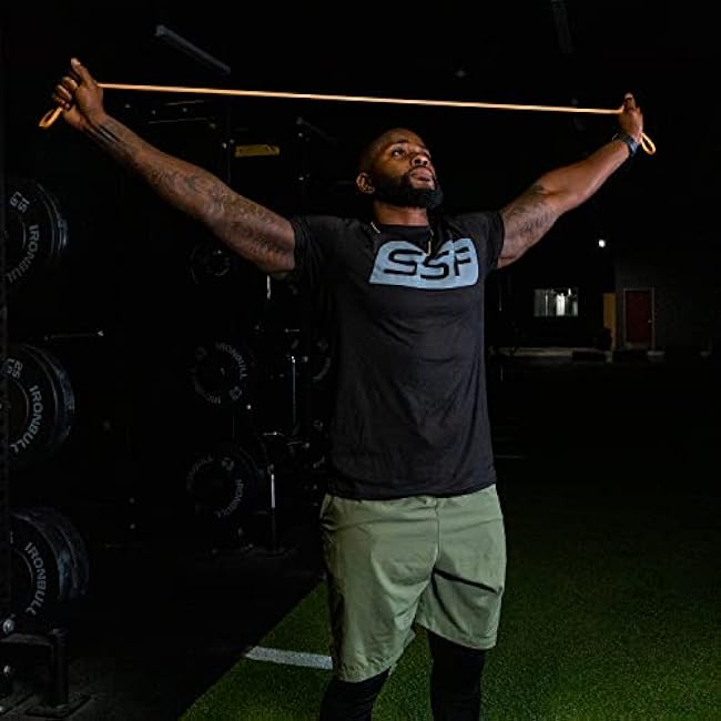 Serious Steel Fitness 32 Resistance Training Bands (Portable Exercise Band System Training Bands- Great for Individuals Under 5'10)